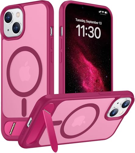Temdan iPhone 16 Pro Max Kickstand Case