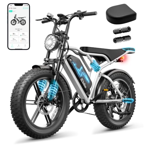 TST Adult 48V 15Ah Fat Tire All-Terrain Electric Bike R004