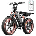 TST Adult 48V 15Ah Fat Tire All-Terrain Electric Bike R004