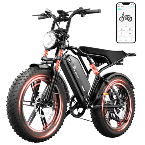 TST Adult 48V 15Ah Fat Tire All-Terrain Electric Bike R004