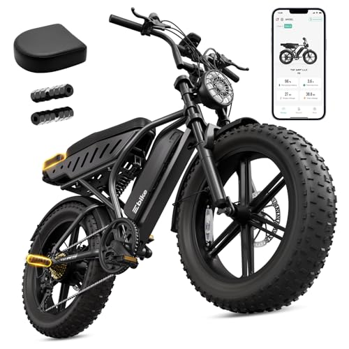 TST Adult 48V 15Ah Fat Tire All-Terrain Electric Bike R004
