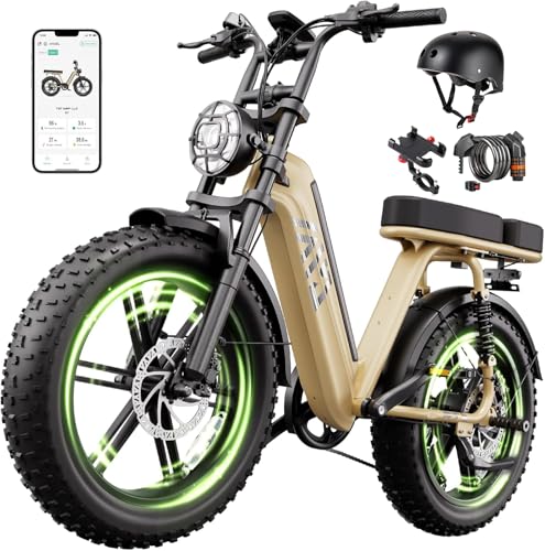 TST Adult 48V 15Ah Fat Tire All-Terrain Electric Bike R004
