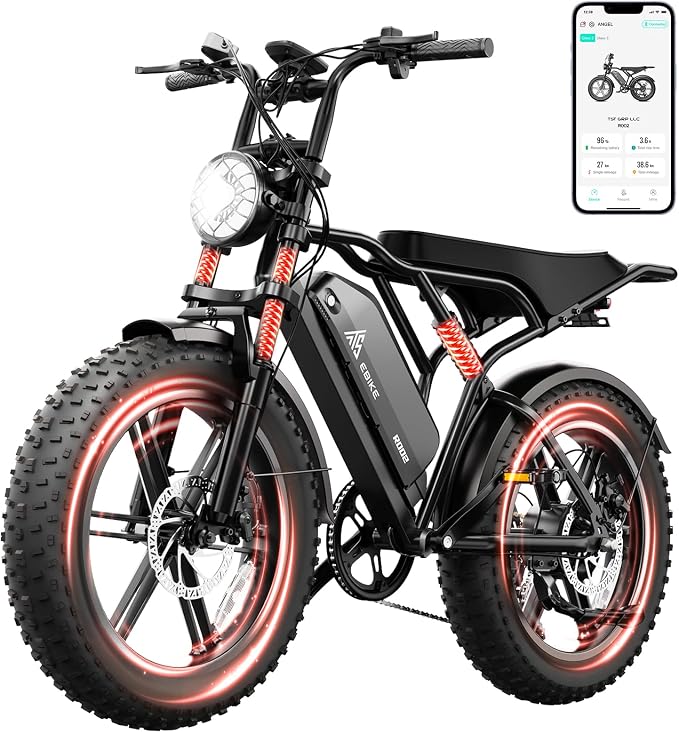 TST Adult 48V 15Ah Fat Tire All-Terrain Electric Bike R004